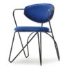 Hajlított székek TALISA szék, dió-sötétkék bársony